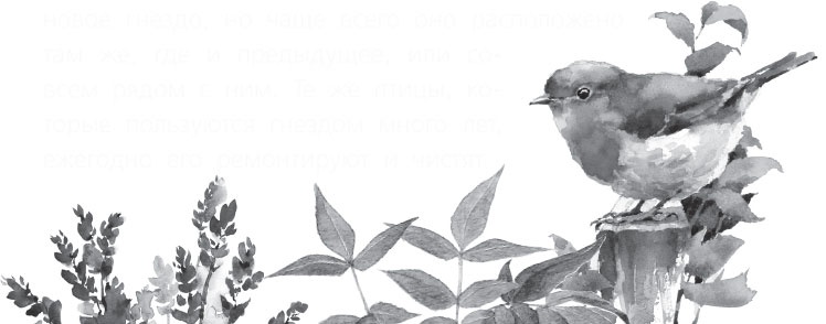 Иллюстрация к книге — Чижик-Пыжик [_60.jpg]