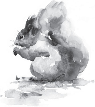 Иллюстрация к книге — Чижик-Пыжик [_61.jpg]