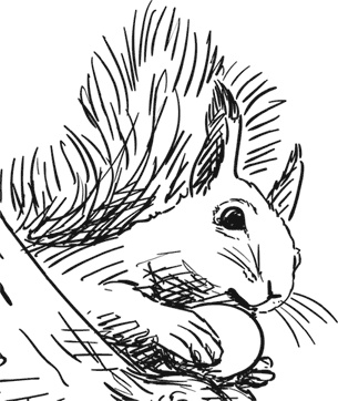 Иллюстрация к книге — Чижик-Пыжик [_62.jpg]