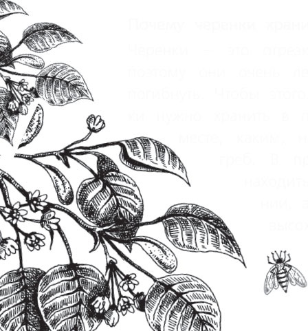 Иллюстрация к книге — Чижик-Пыжик [_68.jpg]