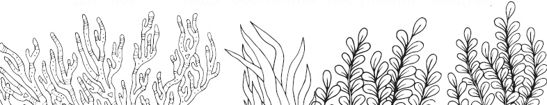 Иллюстрация к книге — Чижик-Пыжик [_76.jpg]