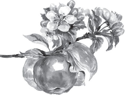 Иллюстрация к книге — Чижик-Пыжик [_78.jpg]