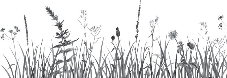 Иллюстрация к книге — Чижик-Пыжик [_79.jpg]