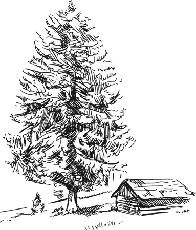 Иллюстрация к книге — Чижик-Пыжик [_81.jpg]