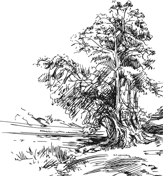 Иллюстрация к книге — Чижик-Пыжик [_82.jpg]