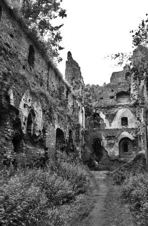 Иллюстрация к книге — Кёнигсберг-13, или Последняя тайна янтарной комнаты [i_008.jpg]