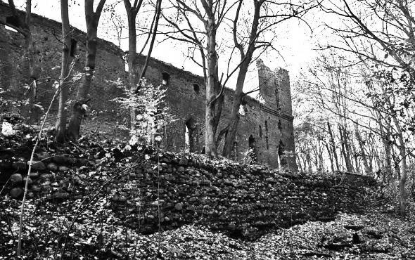 Иллюстрация к книге — Кёнигсберг-13, или Последняя тайна янтарной комнаты [i_100.jpg]