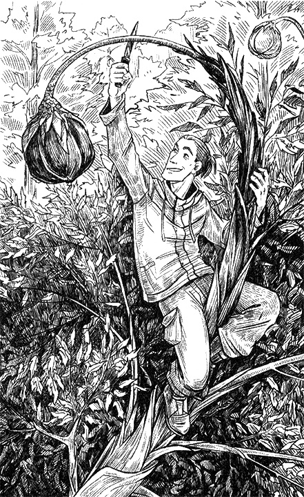 Иллюстрация к книге — Киборг и его лесник [i_013.jpg]