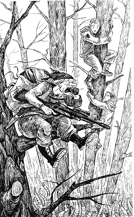 Иллюстрация к книге — Киборг и его лесник [i_016.jpg]