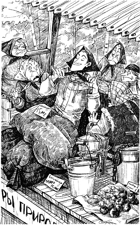 Иллюстрация к книге — Киборг и его лесник [i_017.jpg]