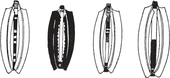 Иллюстрация к книге — Печальные тропики [i_017.jpg]