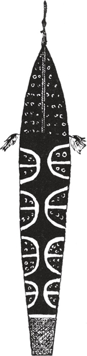 Иллюстрация к книге — Печальные тропики [i_019.jpg]