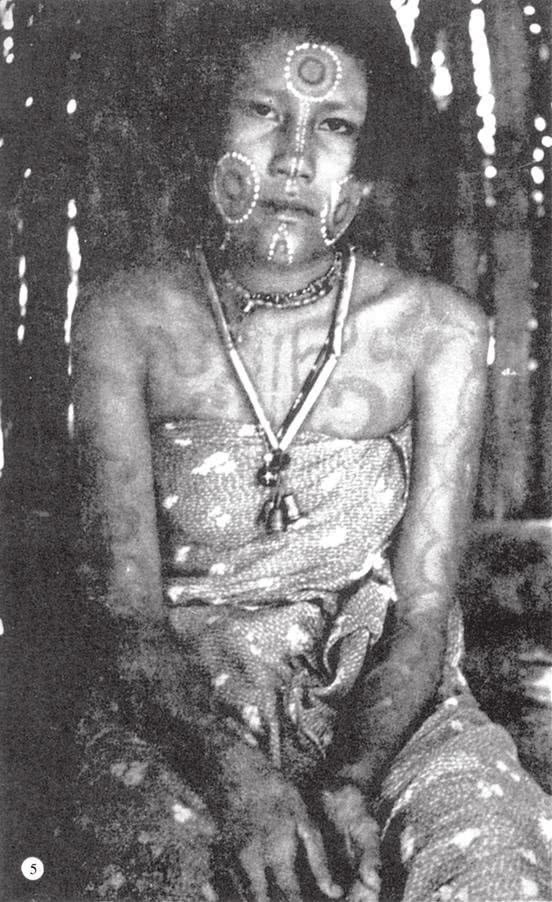 Иллюстрация к книге — Печальные тропики [i_034.jpg]