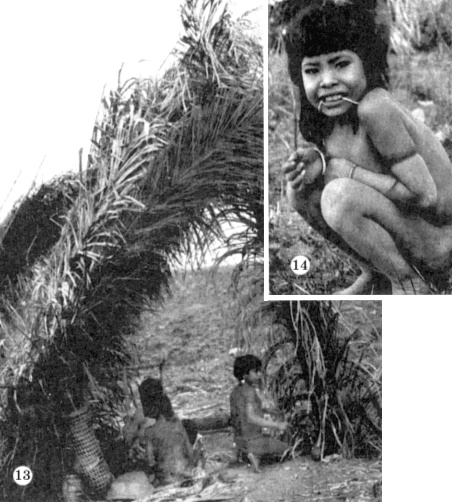 Иллюстрация к книге — Печальные тропики [i_042.jpg]