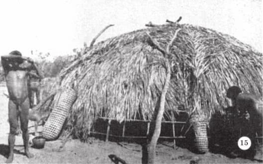 Иллюстрация к книге — Печальные тропики [i_043.jpg]