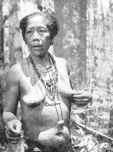 Иллюстрация к книге — Печальные тропики [i_059.jpg]