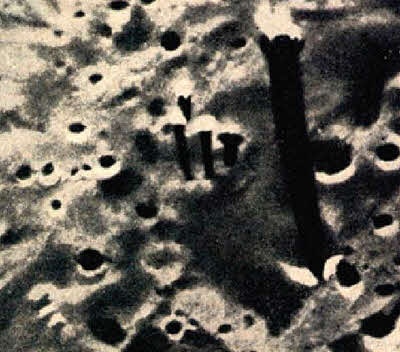 Иллюстрация к книге — Тайны Луны [i_031.jpg]