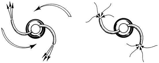 Иллюстрация к книге — Гений. Жизнь и наука Ричарда Фейнмана [i_008.jpg]
