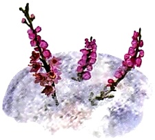 Иллюстрация к книге — Зимняя сказка [i_015.jpg]