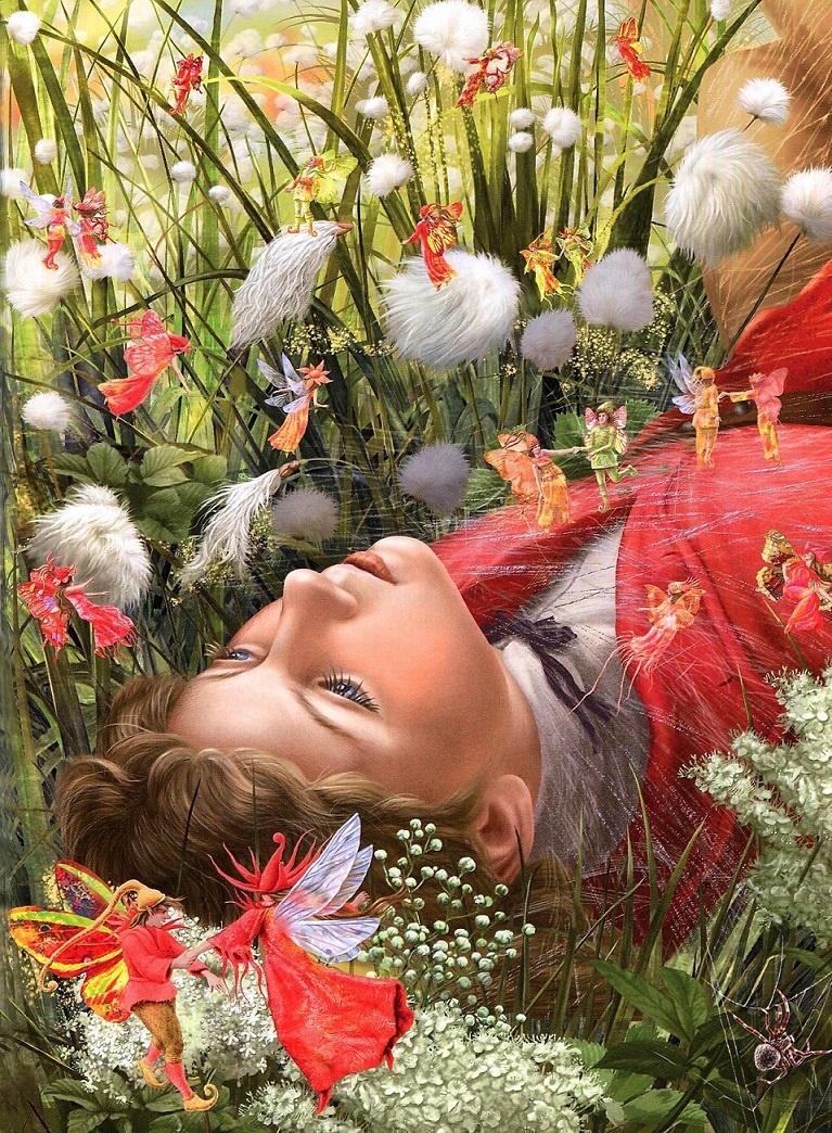 Иллюстрация к книге — Зимняя сказка [i_040.jpg]