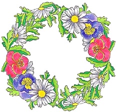 Иллюстрация к книге — Зимняя сказка [i_055.jpg]