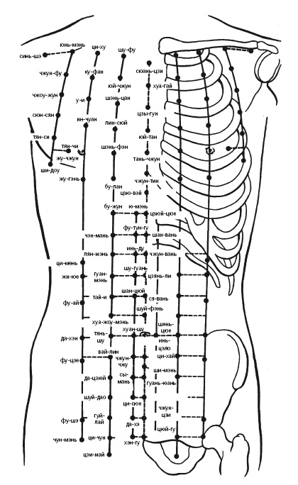Иллюстрация к книге — Лечебные точки организма: нормализуем давление и облегчаем невралгию [i_004.jpg]