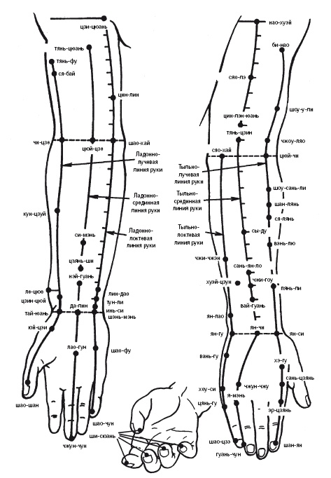 Иллюстрация к книге — Лечебные точки организма: нормализуем давление и облегчаем невралгию [i_005.jpg]