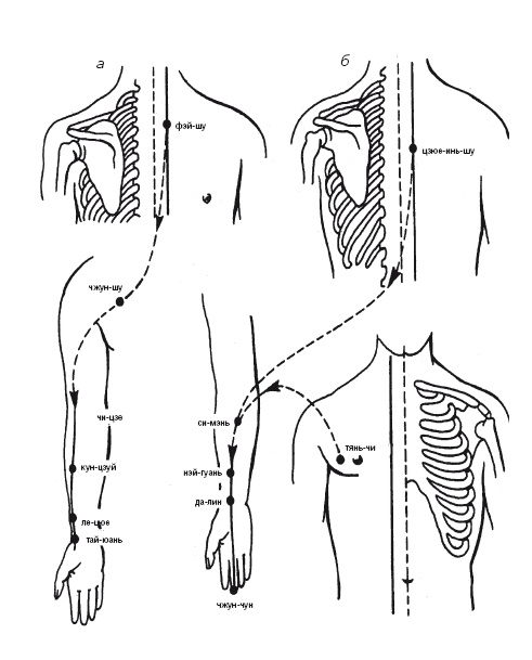 Иллюстрация к книге — Лечебные точки организма: нормализуем давление и облегчаем невралгию [i_006.jpg]