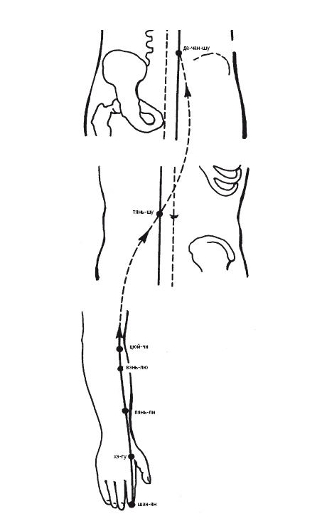 Иллюстрация к книге — Лечебные точки организма: нормализуем давление и облегчаем невралгию [i_008.jpg]