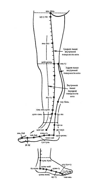 Иллюстрация к книге — Лечебные точки организма: нормализуем давление и облегчаем невралгию [i_011.jpg]