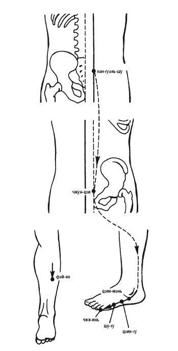 Иллюстрация к книге — Лечебные точки организма: нормализуем давление и облегчаем невралгию [i_013.jpg]