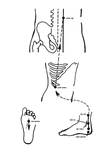 Иллюстрация к книге — Лечебные точки организма: нормализуем давление и облегчаем невралгию [i_015.jpg]