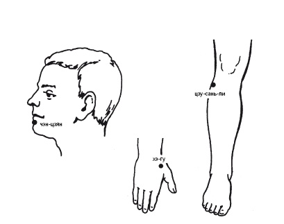 Иллюстрация к книге — Лечебные точки организма: нормализуем давление и облегчаем невралгию [i_035.jpg]
