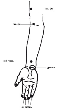 Иллюстрация к книге — Лечебные точки организма: нормализуем давление и облегчаем невралгию [i_039.jpg]