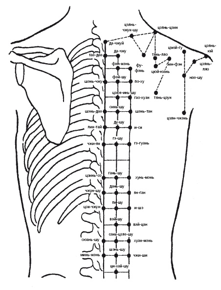 Иллюстрация к книге — Лечебные точки организма: нормализуем давление и облегчаем невралгию [i_041.jpg]