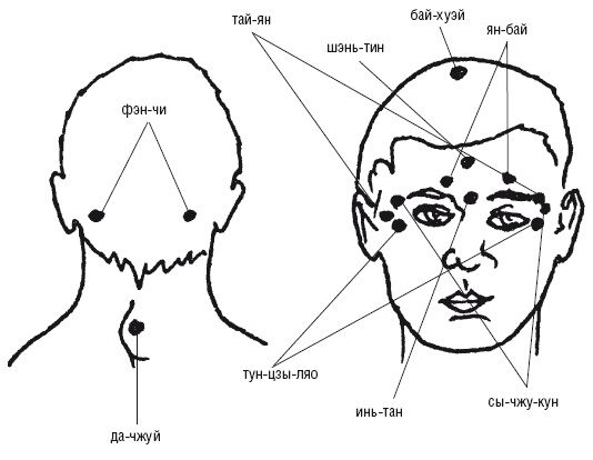 Иллюстрация к книге — Лечебные точки организма: нормализуем давление и облегчаем невралгию [i_048.jpg]