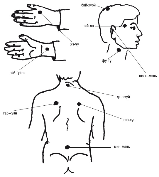 Иллюстрация к книге — Лечебные точки организма: нормализуем давление и облегчаем невралгию [i_049.jpg]