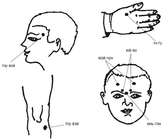 Иллюстрация к книге — Лечебные точки организма: нормализуем давление и облегчаем невралгию [i_051.jpg]