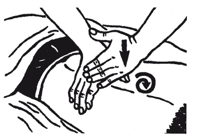 Иллюстрация к книге — Лечебные точки организма: нормализуем давление и облегчаем невралгию [i_056.jpg]