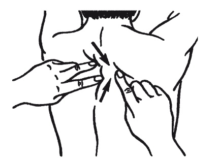 Иллюстрация к книге — Лечебные точки организма: нормализуем давление и облегчаем невралгию [i_059.jpg]