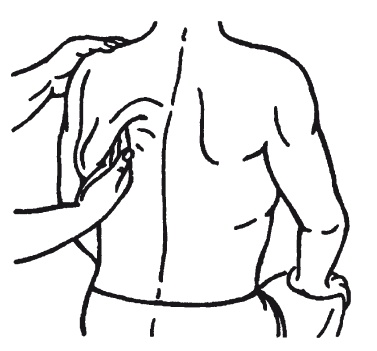 Иллюстрация к книге — Лечебные точки организма: нормализуем давление и облегчаем невралгию [i_066.jpg]