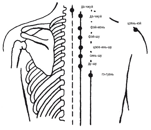 Иллюстрация к книге — Лечебные точки организма: нормализуем давление и облегчаем невралгию [i_082.jpg]
