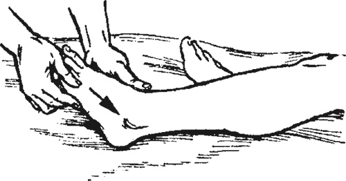 Иллюстрация к книге — Целительные точки организма. Косметический и омолаживающий массаж [i_004.jpg]