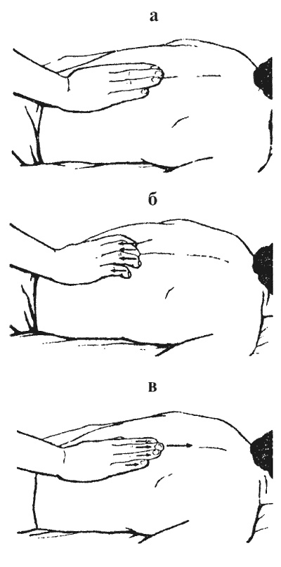 Иллюстрация к книге — Целительные точки организма. Косметический и омолаживающий массаж [i_006.jpg]