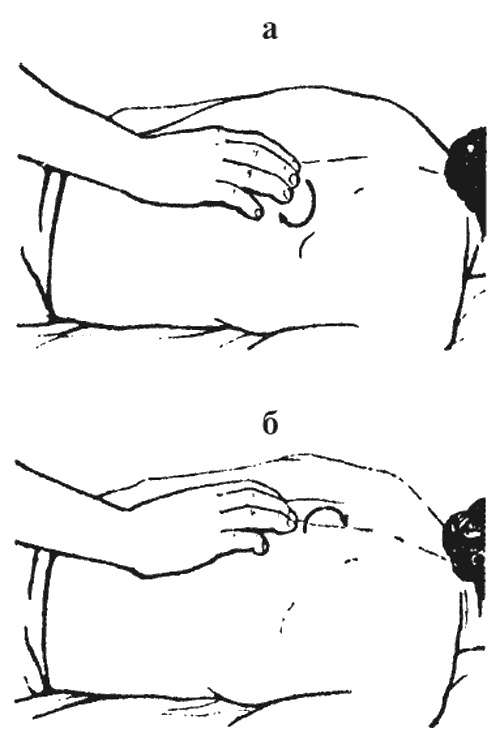 Иллюстрация к книге — Целительные точки организма. Косметический и омолаживающий массаж [i_007.jpg]