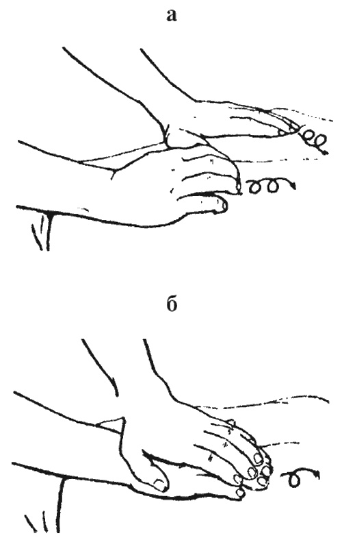 Иллюстрация к книге — Целительные точки организма. Косметический и омолаживающий массаж [i_008.jpg]