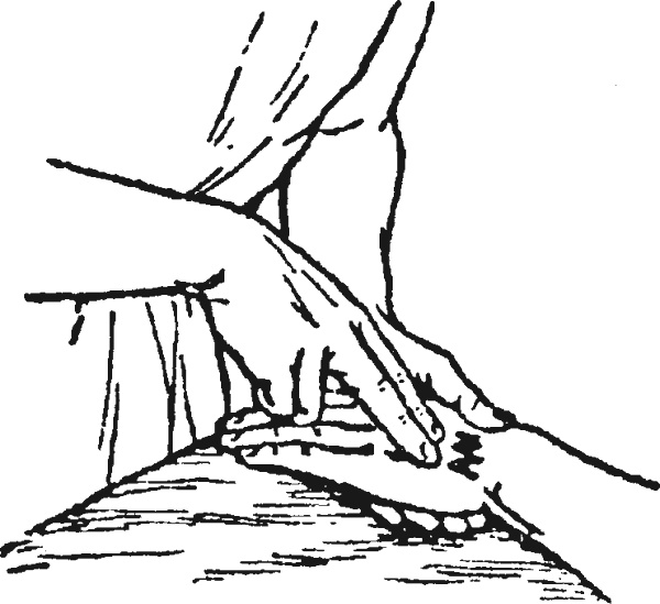 Иллюстрация к книге — Целительные точки организма. Косметический и омолаживающий массаж [i_010.jpg]