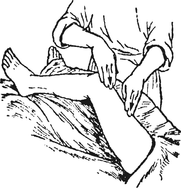 Иллюстрация к книге — Целительные точки организма. Косметический и омолаживающий массаж [i_011.jpg]