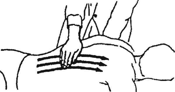 Иллюстрация к книге — Целительные точки организма. Косметический и омолаживающий массаж [i_014.jpg]