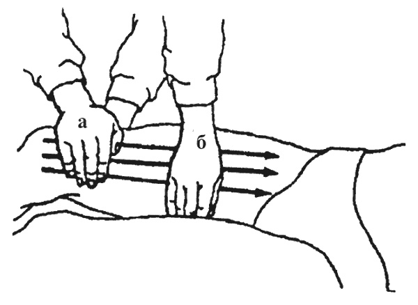 Иллюстрация к книге — Целительные точки организма. Косметический и омолаживающий массаж [i_015.jpg]